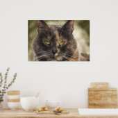 Poster Smug Kitty - Faites Ce Que Vous Voulez? (Cuisine)