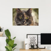 Poster Smug Kitty - Faites Ce Que Vous Voulez? (Bureau à domicile)