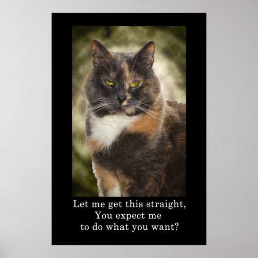Poster Smug Kitty - Faites Ce Que Vous Voulez? (Devant)