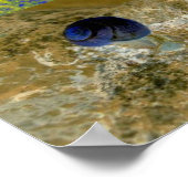 Poster Snail Cepaea Pop Art (Coin)