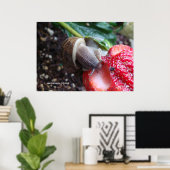 Poster Snail Eats fraise (Bureau à domicile)