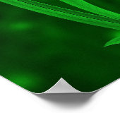 Poster Snail et Chameleon (Coin)