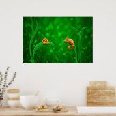 Poster Snail et Chameleon (Cuisine)