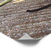 Poster Snailephant (Coin)