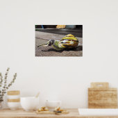 Poster Snailephant (Cuisine)