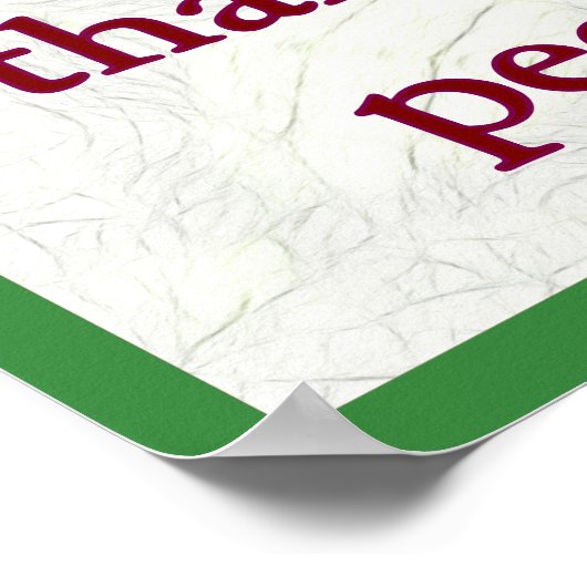 Poster SNAP not ICE (Coin)