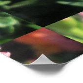 Poster Snapdragon (Coin)