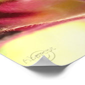 Poster Snapdragon Blossom CloseUp PhotoPoster par gretche (Coin)