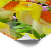 Poster Snapdragons colorés floraux (Coin)