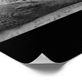 Poster Snapper Croc Noir Et Blanc Espagne Verticale (Coin)