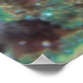 Poster Snapper croisé (Coin)