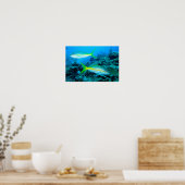 Poster Snappers à queue jaune (Cuisine)