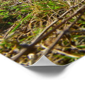 Poster Sniper Training (Coin)