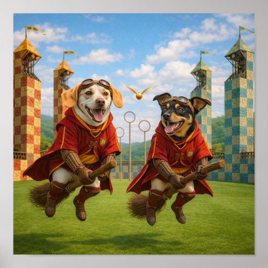 Poster "Snitch" (Devant)