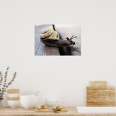 Poster Snoie (Cuisine)