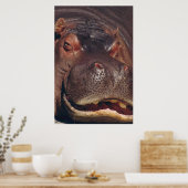 Poster Snooing Hippopotamus Portrait (Cuisine)