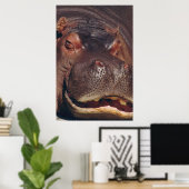 Poster Snooing Hippopotamus Portrait (Bureau à domicile)