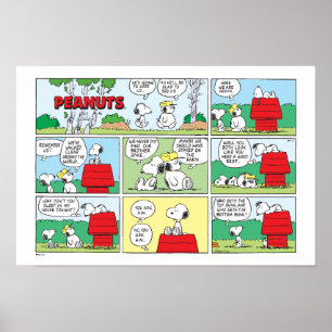 Poster Snoopy et ses frères Andy et Olaf