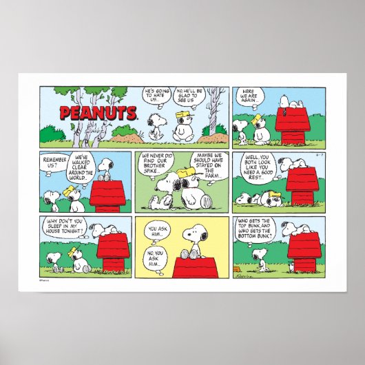 Poster Snoopy et ses frères Andy et Olaf (Devant)