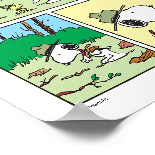 Poster Snoopy & Friends | Go Camping (Coin)