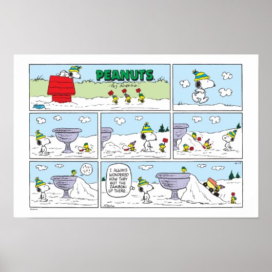 Poster Snoopy & l'équipe (Devant)