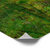 Poster Snoqualmie (Coin)