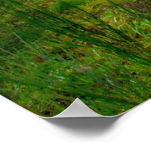 Poster Snoqualmie (Coin)