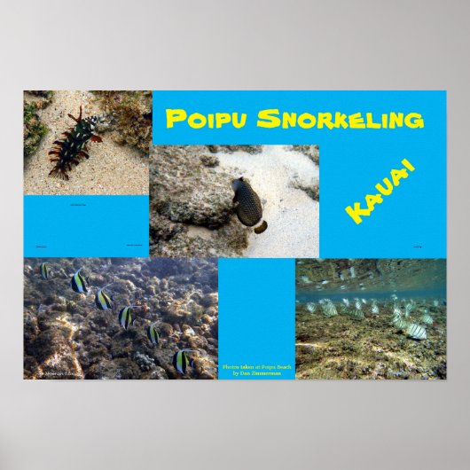 Poster Snorkel Poipu (Devant)