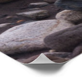 Poster Snow and Rocks, Parc national du Mont Rainier (Coin)