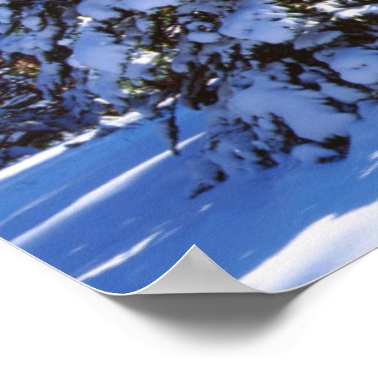 Poster Snow-covered Red Fir trees (Coin)