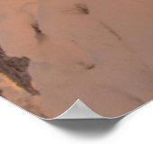 Poster Snow Ghosts (Coin)