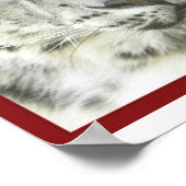 Poster Snow Leopard (Hoek)
