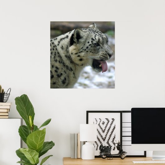 Poster Snow Leopard (Bureau à domicile)