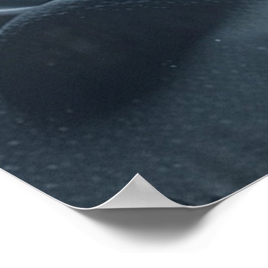 POSTER SNOW MOON (Coin)