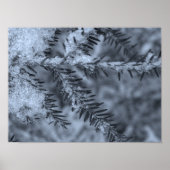 Poster Snow on Pine Needles (Devant)