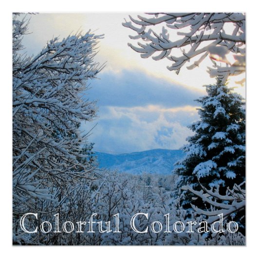 Poster Snow on Pine Trees (Devant)