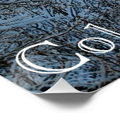Poster Snow on Pine Trees (Coin)