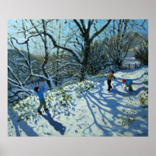 Poster Snowball combat Derbyshire