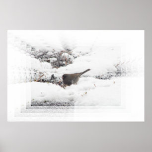 Poster Snowbird 01