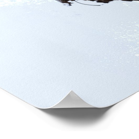 Poster Snowdrift Imprimer Wall Art (Coin)