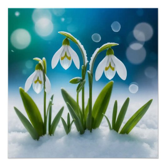 Poster Snowdrings #2 Wall Art (Devant)