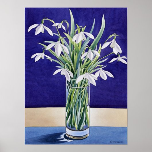 Poster Snowdrops (Devant)