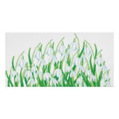 Poster Snowdrops de printemps (Devant)