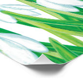 Poster Snowdrops de printemps (Coin)