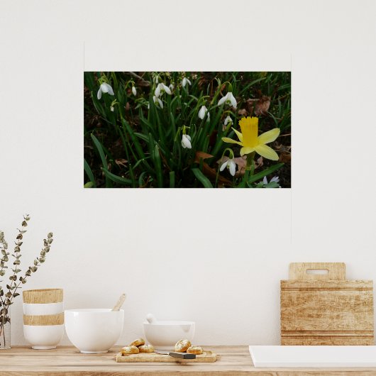 Poster Snowdrops et Daffodil Spring Floral (Cuisine)