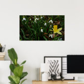 Poster Snowdrops et Daffodil Spring Floral (Bureau à domicile)
