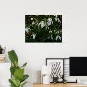 Poster Snowdrops I (Bureau à domicile)