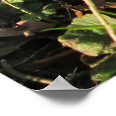 Poster Snowdrops Under an English Yew Tree - Personnalisé (Coin)