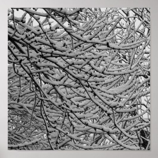 Poster Snowfall Shreveport (Devant)