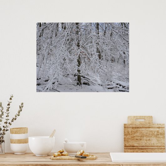 Poster Snowy Birch Tree Canopy (Cuisine)